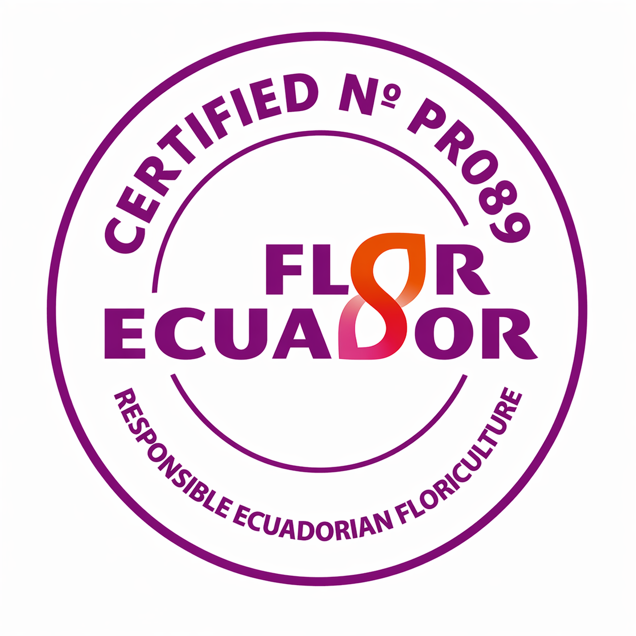Certificate 5